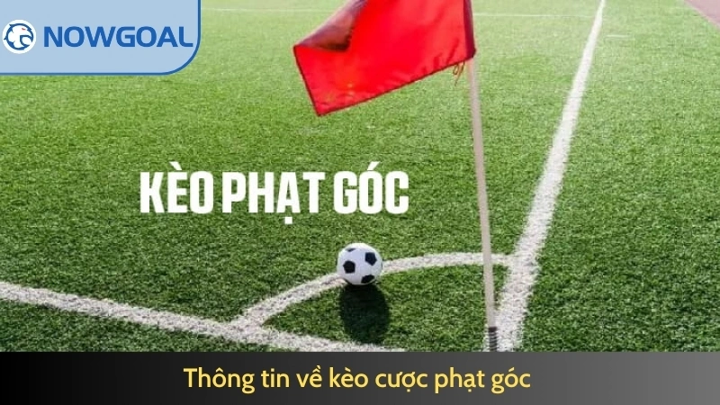 Thông tin về kèo cược phạt góc